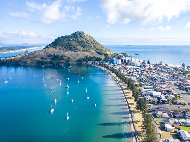 Bay of Plenty Building and Construction Business for Sale Slide 2