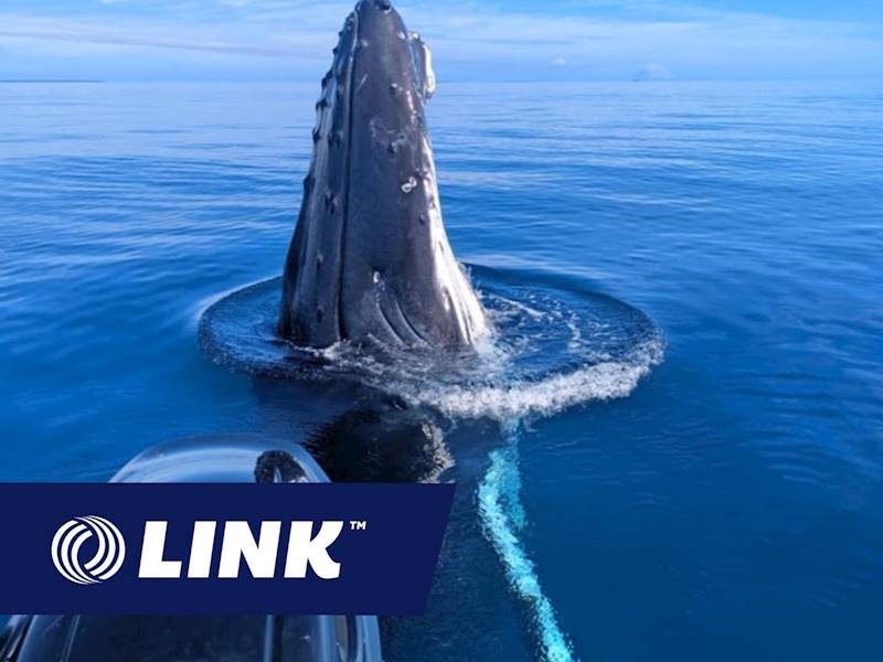 Auckland Surrounds Resort Business for Sale