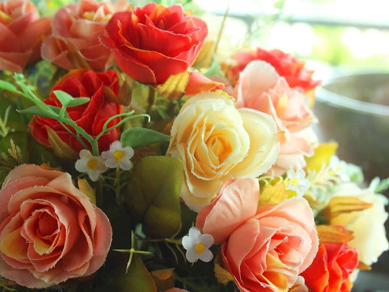 Tauranga Florist/Nursery Business for Sale