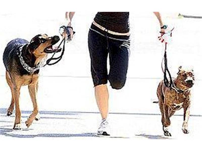 Sydney City Accommodation/Tourism Business for Sale Slide 2