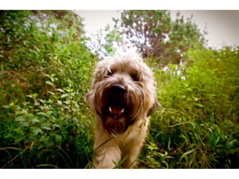 Sydney City Accommodation/Tourism Business for Sale