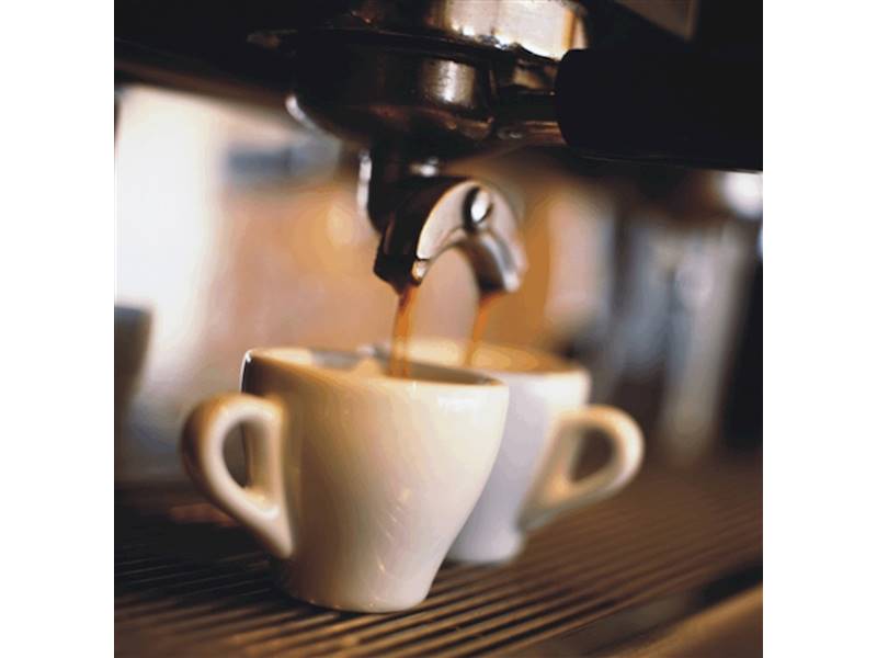 Newcastle & Region Food/Hospitality Business for Sale