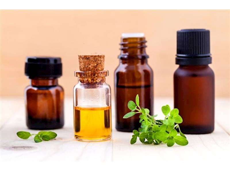 Import/Export/Wholesale Business for Sale