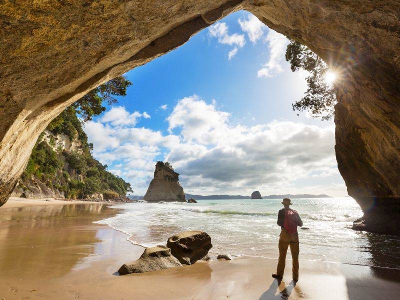 Auckland Surrounds Tours Business for Sale Slide 2