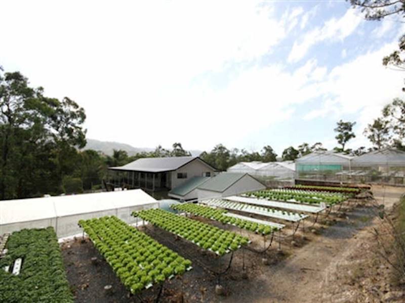 Rural Business for Sale