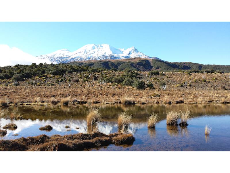 Ohakune Motel Business for Sale Slide 6