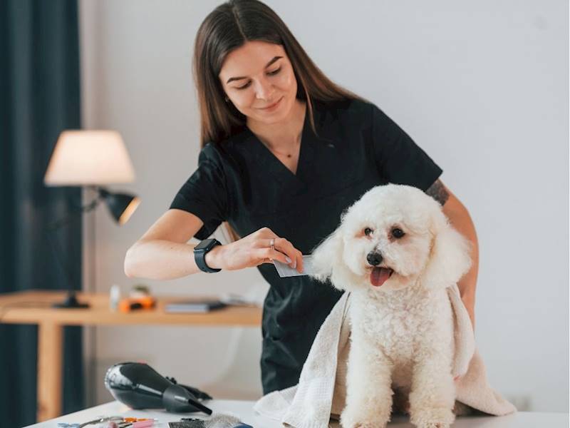 South Sydney Animal-related services Business for Sale Slide 4