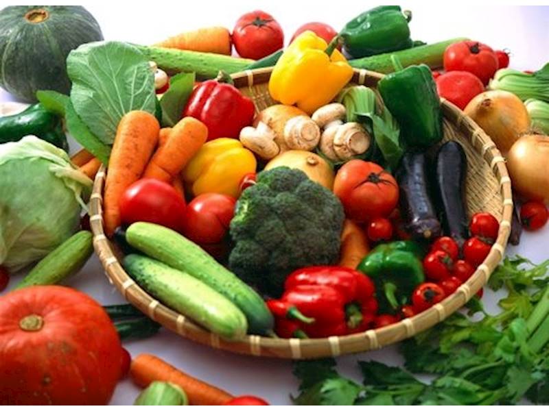 Christchurch Food/Hospitality Business for Sale