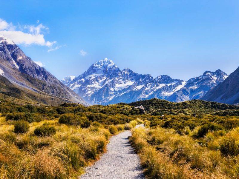 Auckland Surrounds Hire/Rent Business for Sale Slide 3