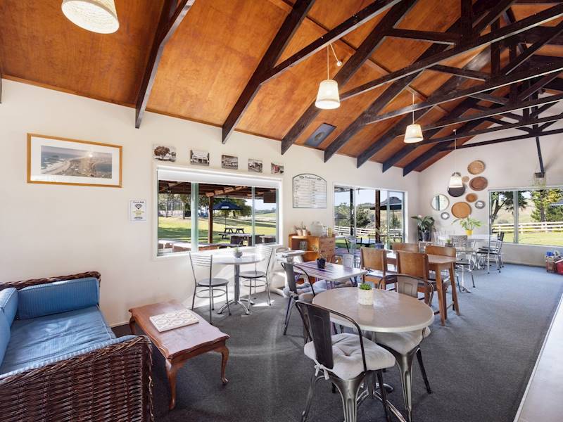 Tauranga Accommodation/Tourism Services Business for Sale Slide 3