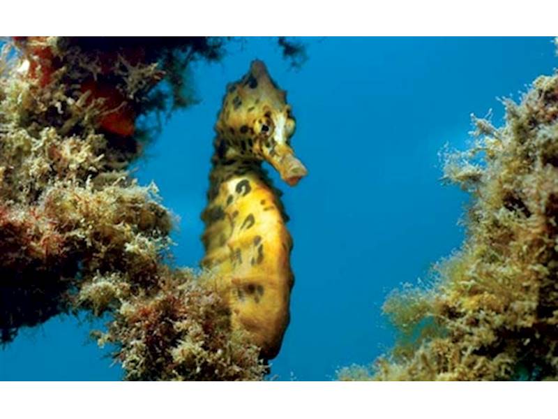 Sydney City Education/Training Business for Sale Slide 2