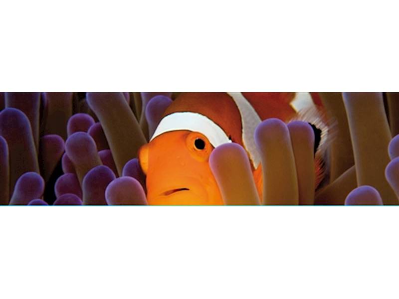 Sydney City Education/Training Business for Sale Slide 3