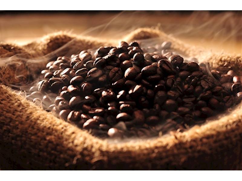 Food/Hospitality Business for Sale