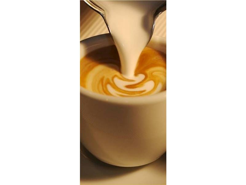 Sydney City Food/Hospitality Business for Sale