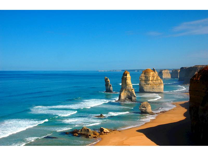 East Melbourne Tours Business for Sale