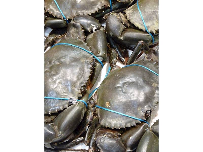 Northern Suburbs - Perth Food/Hospitality Business for Sale Slide 3