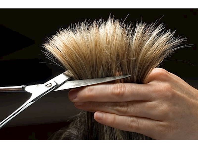 Beauty/Health Business for Sale