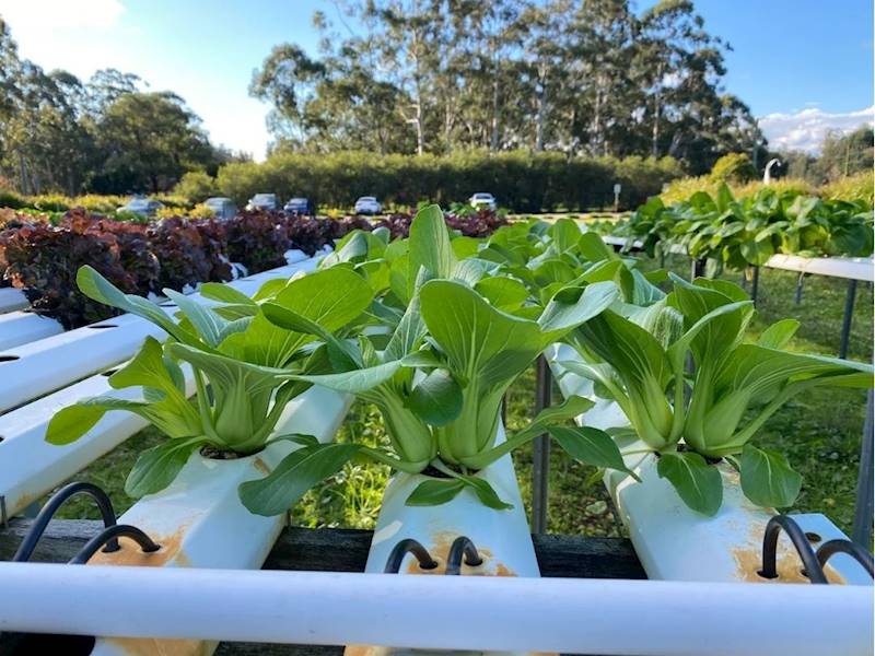 Port Stephens Aquaculture Business for Sale Slide 2