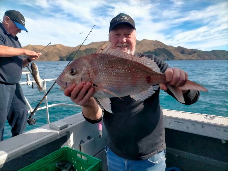 Christchurch Accommodation/Tourism Services Business for Sale Slide 6