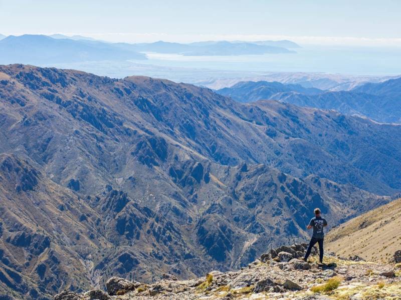 Christchurch Accommodation/Tourism Services Business for Sale Slide 9